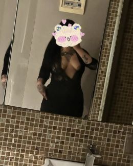 南宁坦克小猫