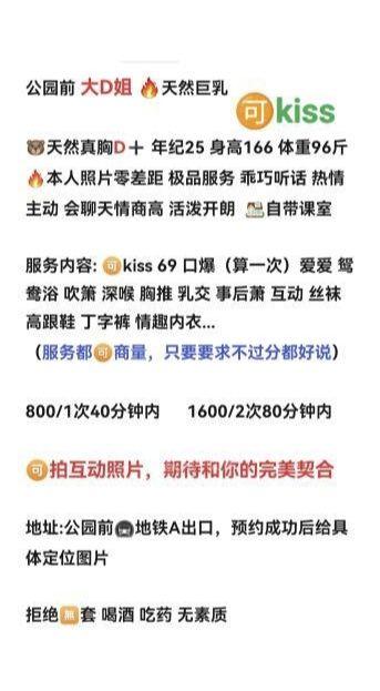 公园前大d姐报告